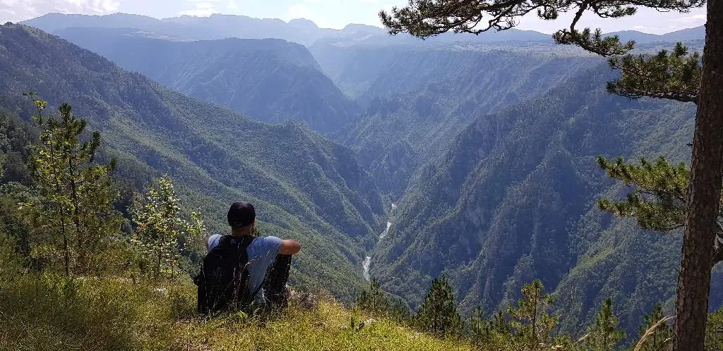 Tara River Canyon Rim